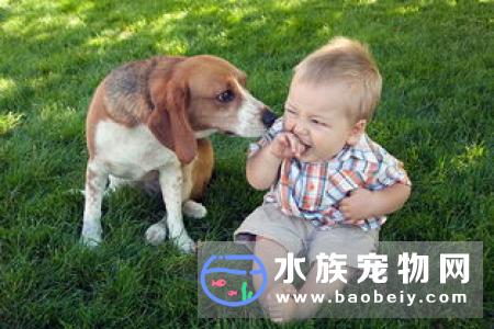 家有宝宝一岁零五个月,狗狗的习惯和宝宝的习惯怎样来统一?