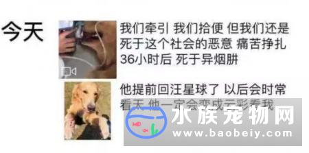 北京多小区频现毒狗事件，新的一波就在圣诞节前后！