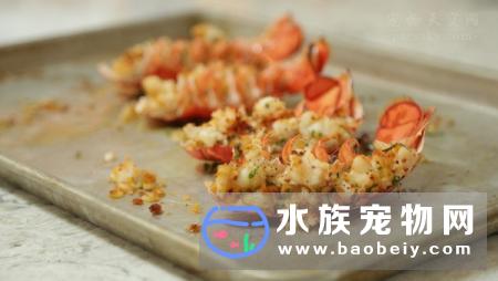 美国龙虾产业到了维持不下去的地步 直到他们发现中国的吃货