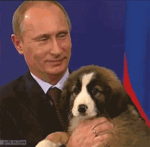 普京是个爱狗狂魔:对狗子被这样拎起来表情有些不满