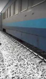 火车从两只可怜的小狗头上飞驰而过