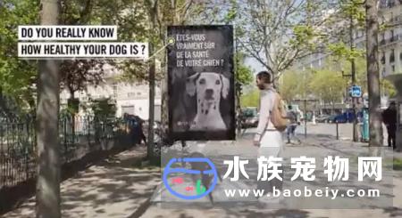 见过欢迎狗狗尿尿的广告牌吗？还能顺便给狗尿检